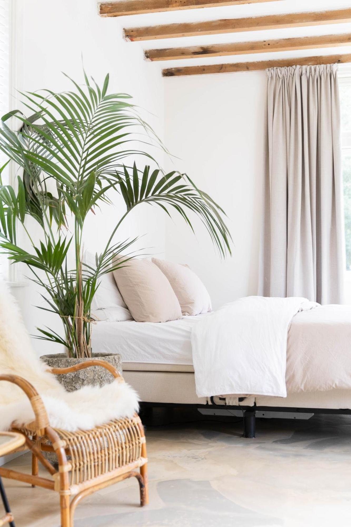 Ben Bij Bos Bed & Breakfast Oude-Niedorp Ngoại thất bức ảnh