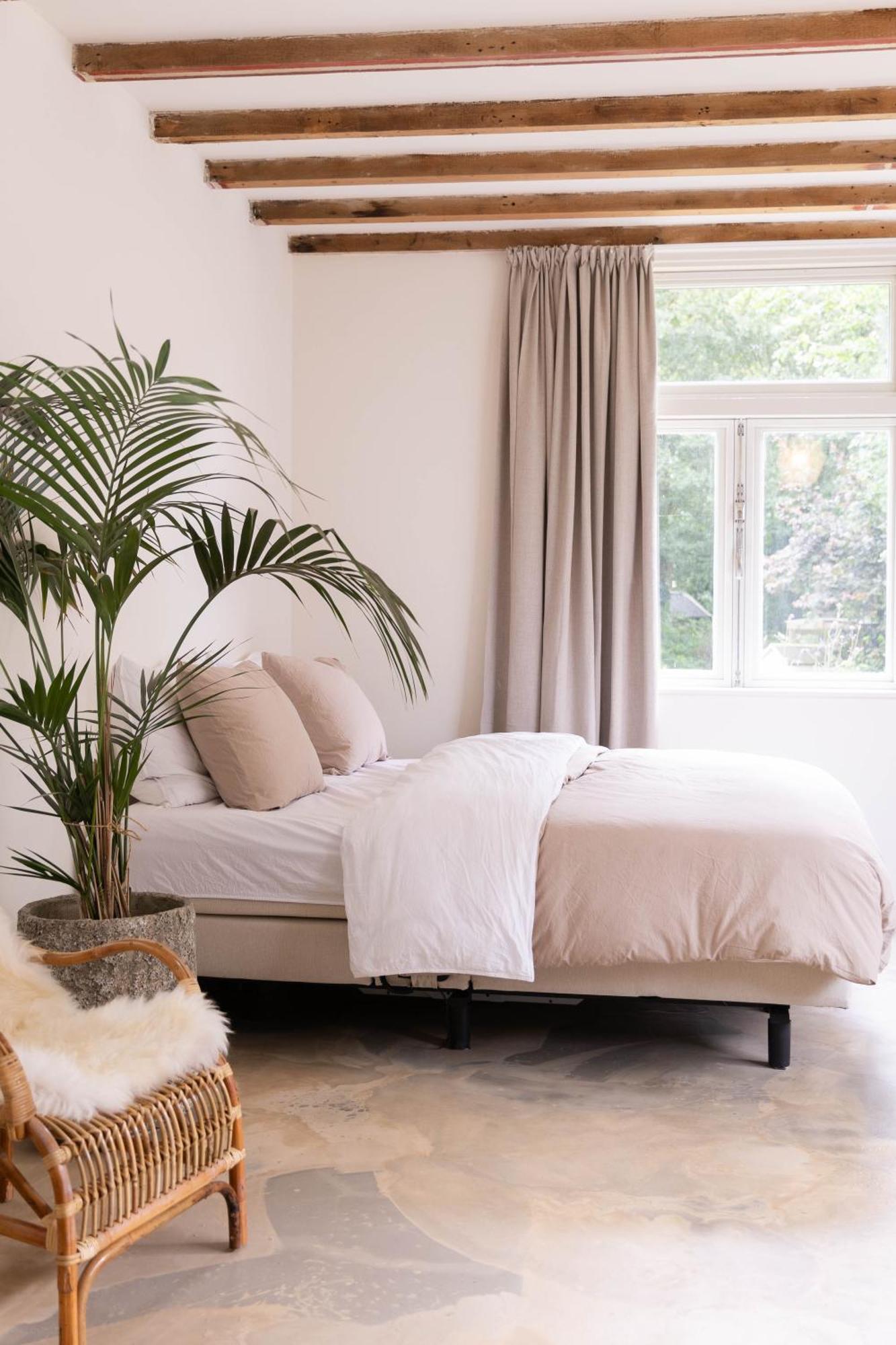 Ben Bij Bos Bed & Breakfast Oude-Niedorp Ngoại thất bức ảnh
